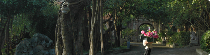 An Image Slideshow